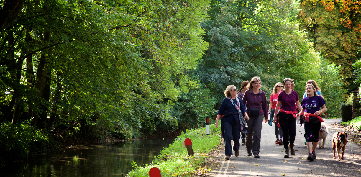 Castle Combe Forest Walks